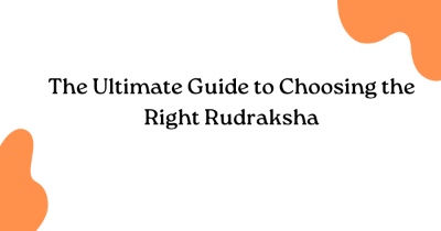 The Ultimate Guide to Choosing the Right Rudraksha The Ultimate Guide to Choosing the Right Rudraksha